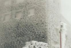 Пора на лыжи: Драгобрат и Буковель засыпало шикарным снегом (видео)