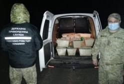 Пограничники изъяли почти полтонны устриц на границе с РФ (видео)