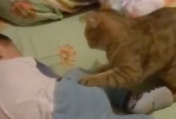 "Хватит реветь!" Кошка в один миг успокоила плачущего ребенка (видео)