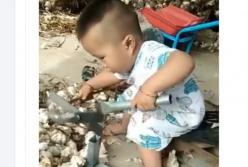 Такой маленький, а уже усердно работает (видео)