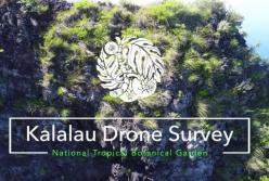 Ученые нашли цветок, который считался исчезнувшим (видео)