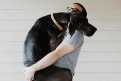 Трогательные поцелуи: животные обнимают своих хозяев (видео)