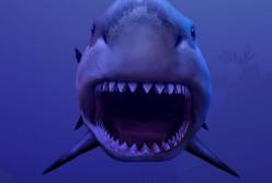 Кошмарные существа из Марианской впадины (видео)