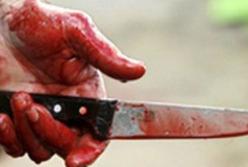 Отрезала мужу голову, а половые органы скормила собакам (видео)