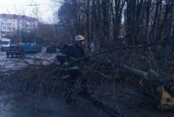 Смертельный ураган в Украине: погибли женщина и ребенок (видео)