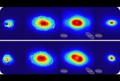 Получен первый живой снимок черной дыры (видео)