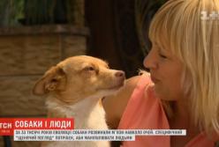 Ученые выяснили, как собаки управляют людьми при помощи взгляда (видео)