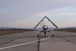 Ударные беспилотники ВСУ поднялись в небо (видео)