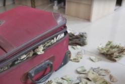 Супруги заплатили за авто чемоданом с денежными сердечками​ (видео)