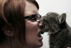 Реакция кошки, когда хозяйка начала петь песню (видео)