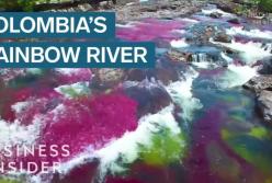Пятицветная река Каньо Кристалес в Колумбии