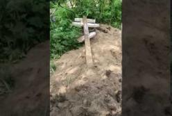 На Камчатке медведи раскапывают могилы на кладбище (видео)
