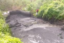 В Киеве в озеро вылили мазут (видео)