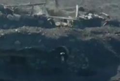 Украинские военные проникли в тыл боевиков и напугали их (видео)