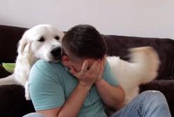 Первая реакция собаки на плачь хозяина (видео)