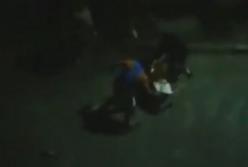 В Запорожье боксер избил новобрачных в канун свадьбы (видео)