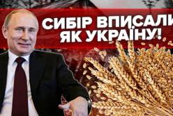 Ізраїль потрапив у міжнародний скандал через закупівлю краденого українського зерна