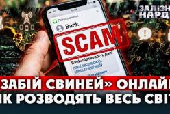 Друга економіка світу — це кіберзлочинність: обіг шахрайських імперій сягне 20 трильйонів доларів