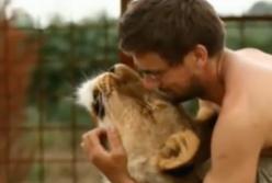 Лев загрыз насмерть своего 33-летнего хозяина (видео)