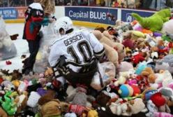Хоккейные болельщики забросали все поле мягкими игрушками (видео)