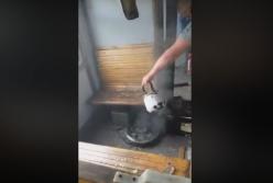 Как такое вообще возможно? Под Харьковом у электрички оторвалось колесо и залетело в вагон (видео)