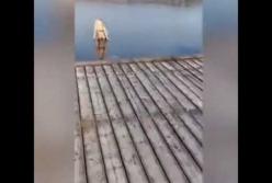 Блондинка в мороз решила нырнуть в озеро: что из этого получилось (видео)
