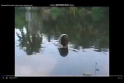 Женщина 20 лет живет в озере в Индии (видео)