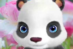 Самая забавная видео-открытка со Всемирным Днем доброты (видео)