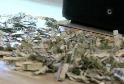 Тысяча долларов была уничтожена в измельчителе бумаги (видео)