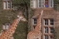 Очень необычные отели: под водой, в кабине пилота или капсуле (видео)