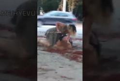 В Днепре девушки устроили "бой без правил" (видео)