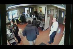 Собака совершила кражу в полицейском участке: в сети смеются (видео)