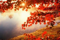 Рекорды ноября 2018: погода подарит украинцам аномальное тепло (видео)