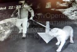 Задержан киевлянин: убил соседа, когда гулял с собаками (видео)