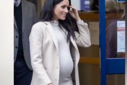 Беременная Меган Маркл шокировала: в приют, как на свадьбу (видео) 