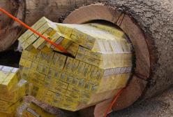 10 самых гениальных контрабандистов в истории (видео)