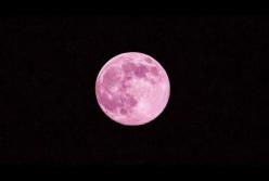 Розовая луна или Суперлуние: в сети показали видео уникального явления (видео)