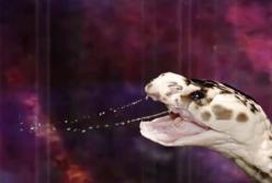 5 животных, которые живут после смерти и могут быть опасны (видео)