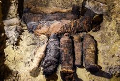 Более 50 мумий в одном месте: удивительная находка египетских археологов (видео)