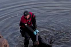 Парней, убивших в Днепре мужчину ради эффектного видео, отпустили из СИЗО (видео)