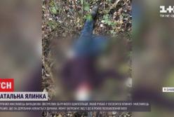 На Буковине охотник выстрелил в косулю и убил односельчанина (видео)