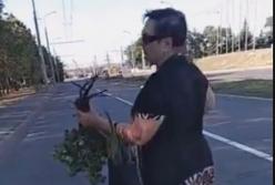 Сеть облетело видео, как наглая воровка рвет цветы с городской клумбы среди бела дня (видео)