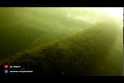 В Киеве водолазы обследовали причалы (видео)