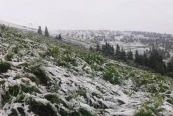 В Карпатах 1 июля выпал снег (видео)