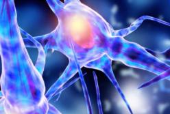 Что происходит на Земле каждые 5 секунд? (видео)