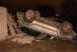 В Днепре из-за собаки перевернулся автомобиль (видео)