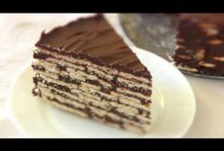 Самый простой торт без выпечки за считанные минуты (видео)