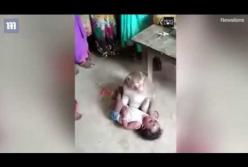 Макака пыталась украсть ребенка (видео)