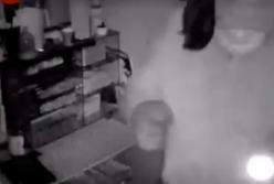 Наглое ограбление: из столичной кофейни украли все, даже калькулятор (видео)