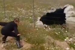 "Танцуй, как я!" Ребенку покоряется огромный страус (видео)